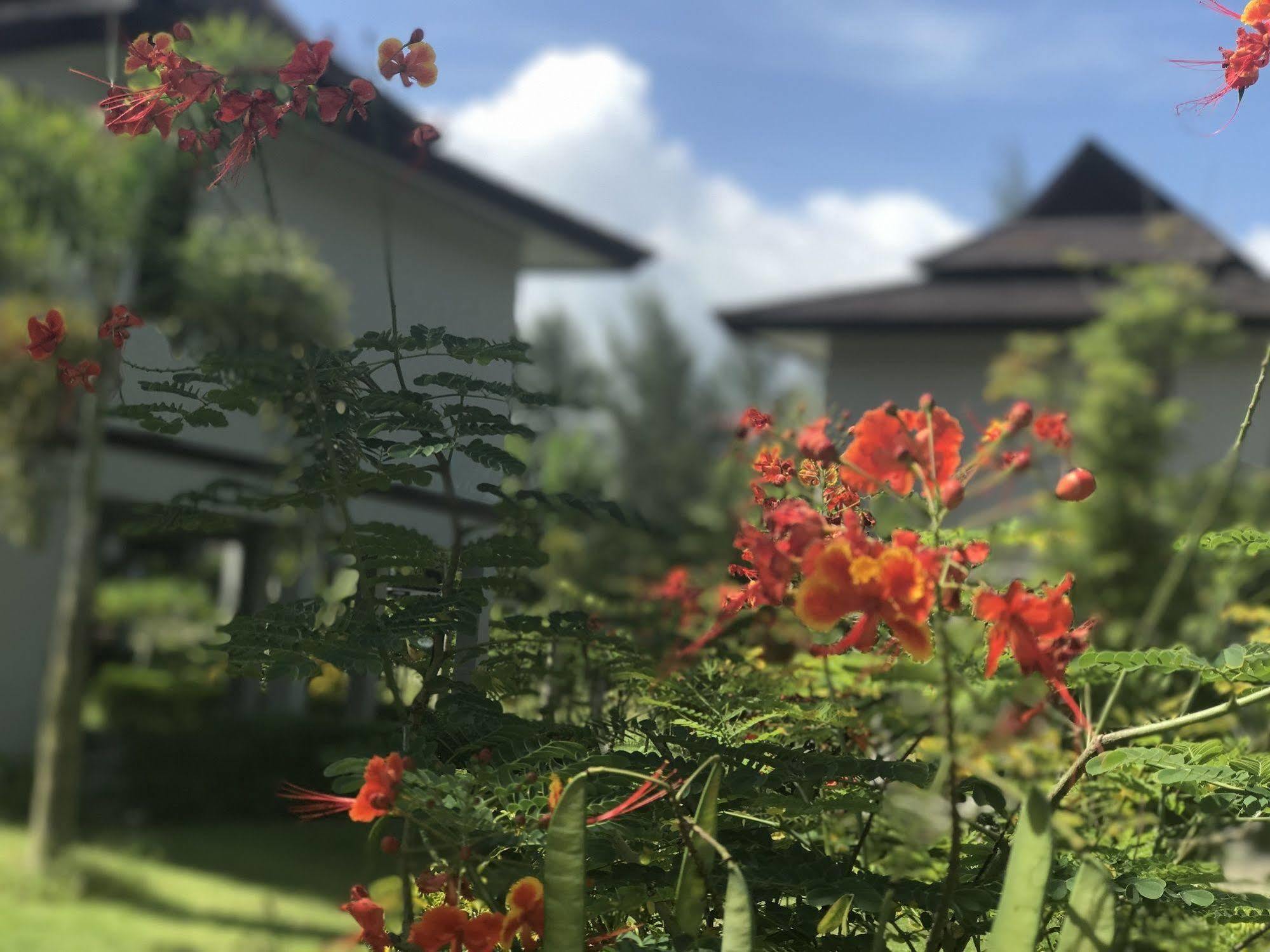 鹤普度假村@考拉 邦萨 外观 照片